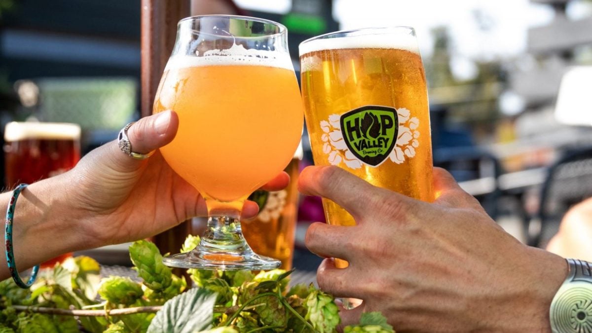 Por Que a Ex-queridinha da Cannabis, a Tilray, Agora Aposta na Cerveja?