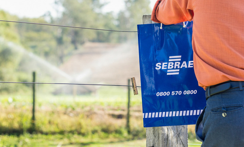 Programa de inovação do Sebrae/SP tem 2,3 mil vagas gratuitas para produtores rurais