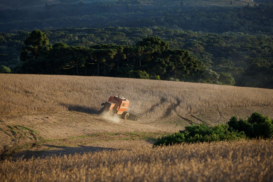 Trégua entre EUA e China reduz oportunidades ao agro brasileiro, diz Jank
