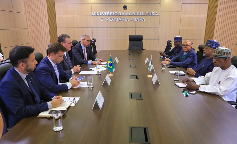 Brasil e África fortalecem laços agrícolas com foco em cooperação e desenvolvimento sustentável
