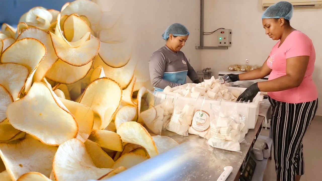 o poder da agroindústria familiar