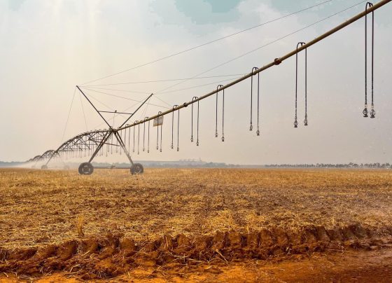 irriga&ccedil;&atilde;o mt sustent&aacute;vel foto leandro balbino canal rural mato grosso