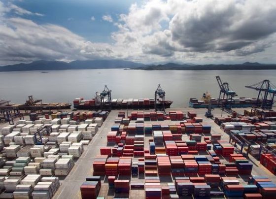 porto, contêiner, exportação, grãos, exportações, contêineres