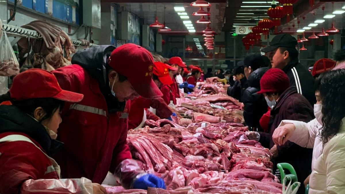 China Adia Decisão sobre Carne Suína da UE Enquanto Negocia Tarifas de Veículos Elétricos