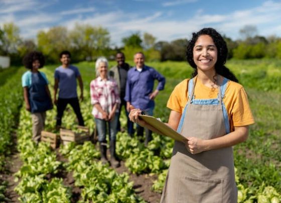 Homens e mulheres em plantação de hortaliças