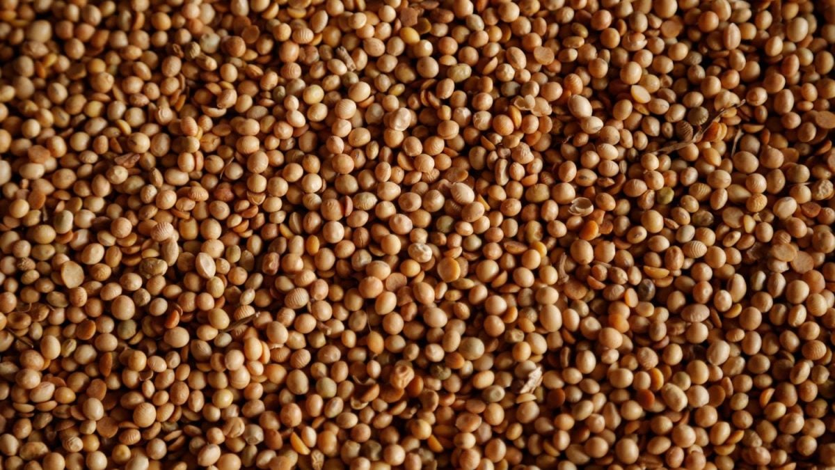 EUA Propõe Volumes Mais Altos para Mistura de Biocombustíveis até 2027