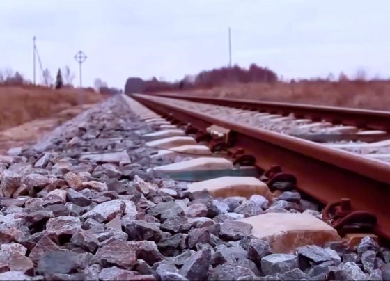 ferrovia trilhos foto arquivo canal rural mato grosso