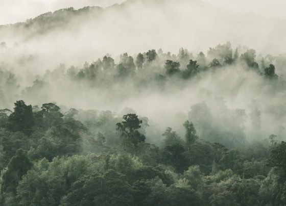 nebulosidade - tempo - frente fria