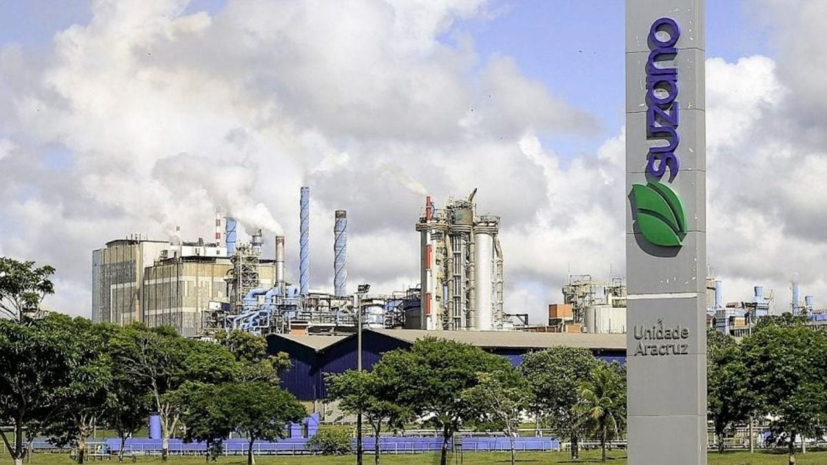 Goldman Sachs Eleva Suzano para Compra, com Preços de Celulose no Radar