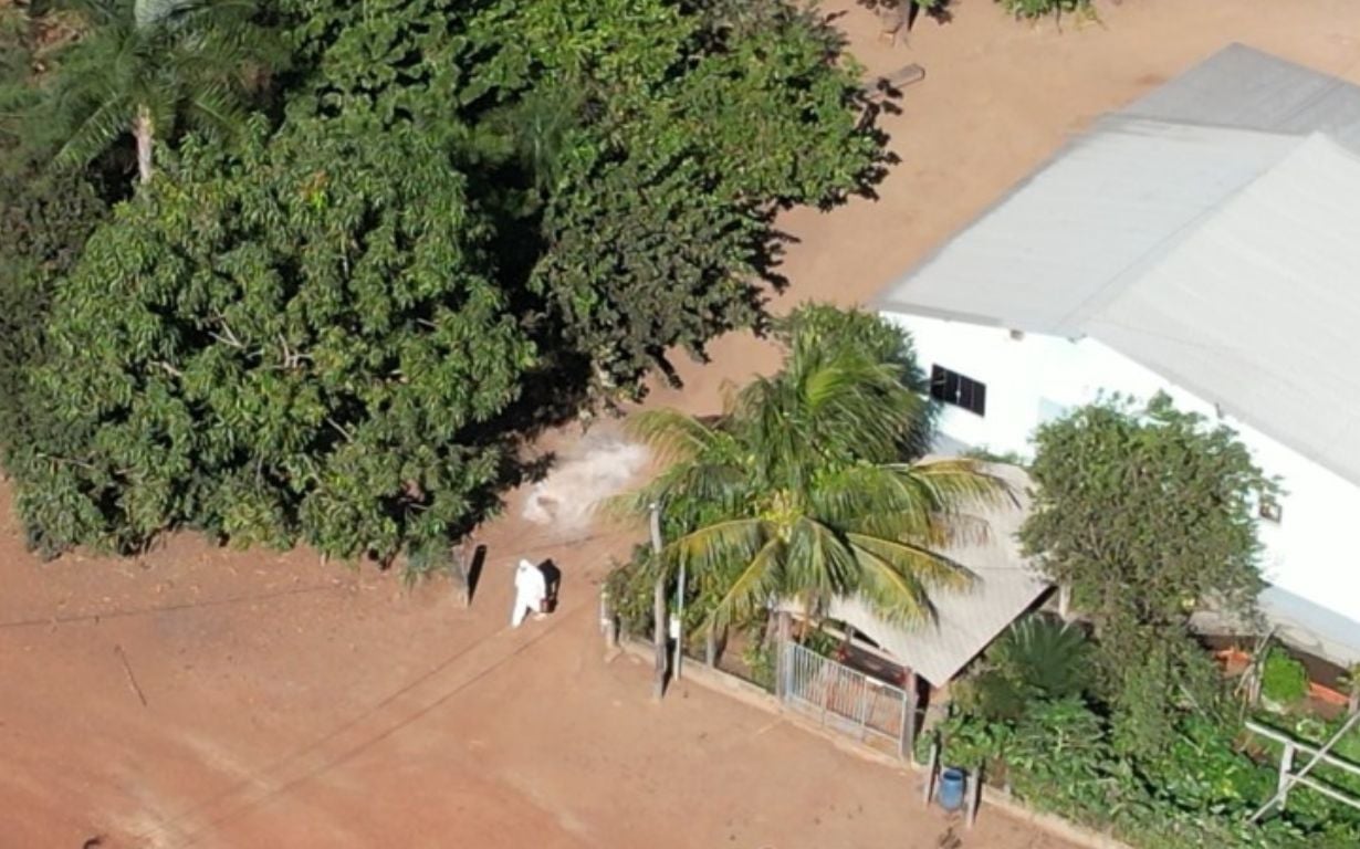 Gripe Aviária: casos suspeitos em humanos em Mato Grosso testam negativo