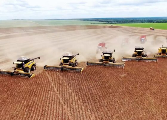 colheita soja milho foto pedro silvestre canal rural mato grosso2