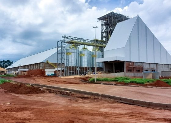 unidade, Cooperativa, Comigo, grãos, Goiás