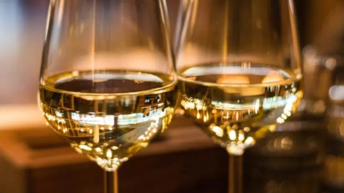 Números e Curiosidades do Chardonnay na Argentina