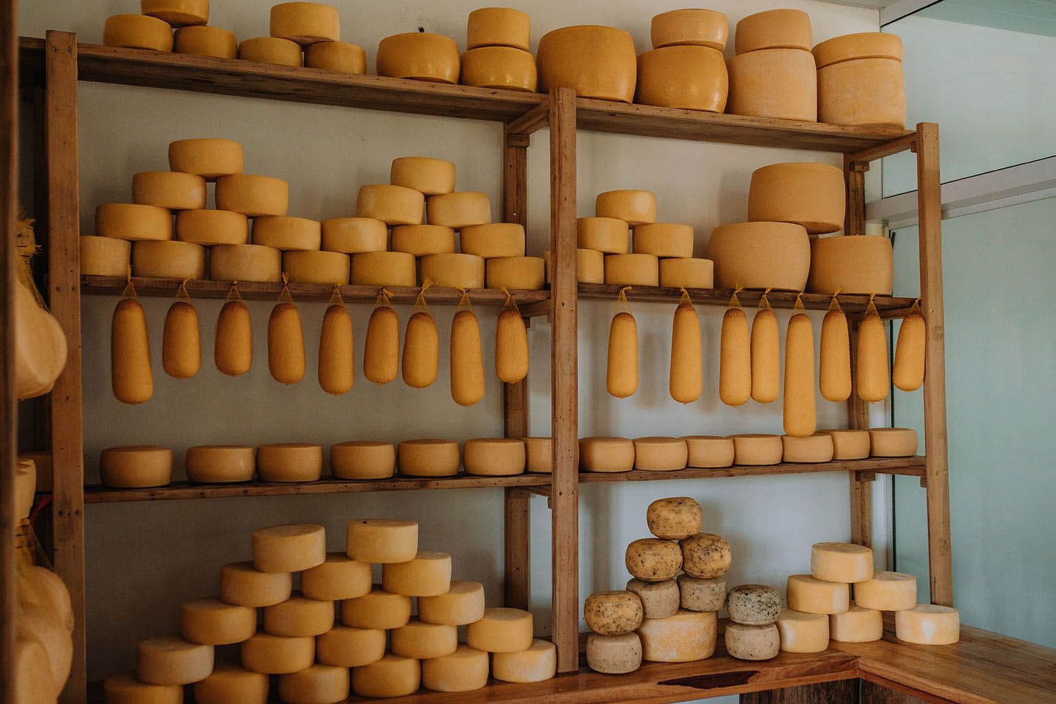 Queijo colonial do Paraná conquista reconhecimento nacional
