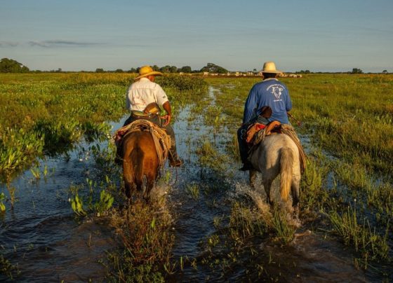 pantanal Fazenda Pantaneira Sustentável foto lucas ninno famato