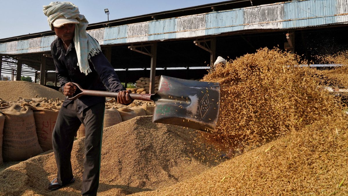 Silos da Índia Transbordam com Estoques Recordes de Arroz e Maior Oferta de Trigo