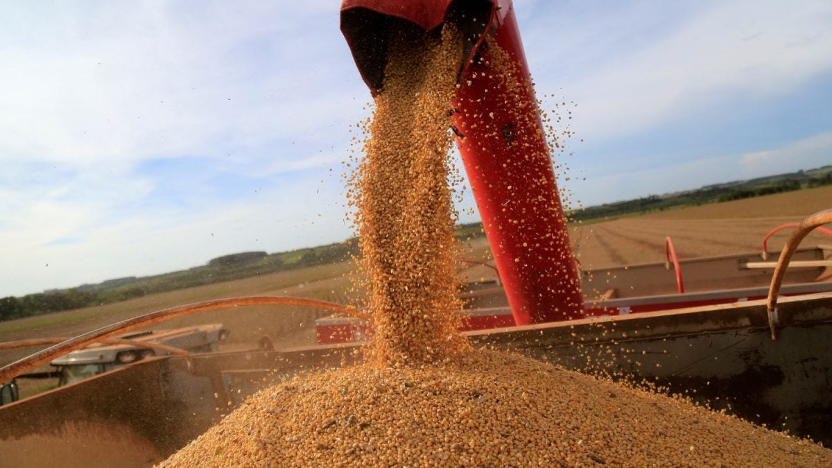 Syngenta Projeta Impacto Mínimo de Tarifas dos EUA para Seus Negócios em 2025