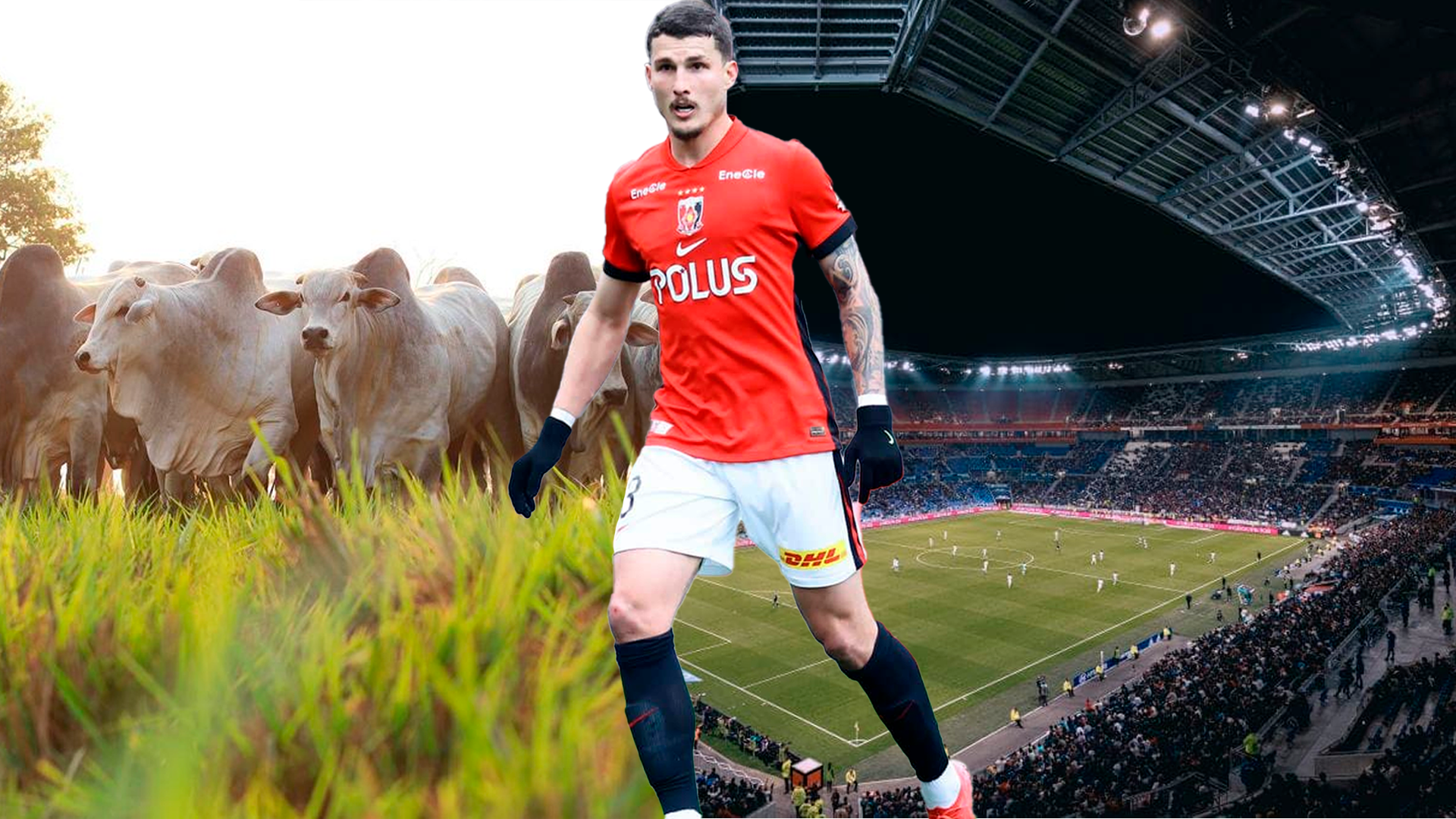 De Rondonópolis para o Mundo: Filho de Agricultores, Danilo Boza Junior disputa o Mundial de Clubes da FIFA.