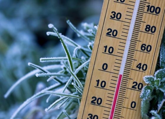 frio - geada