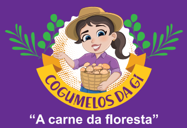 ‘Cogumelos da Gi’ aposta na agroindústria e mira exportação