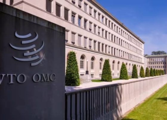 OMC, Organização Mundial do Comércio, brasil