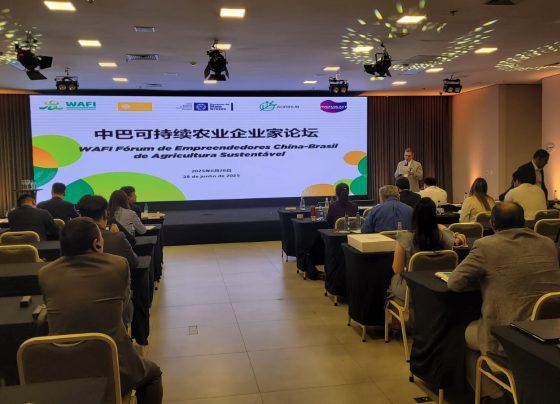 Foto: Canal Rural Mato Grosso