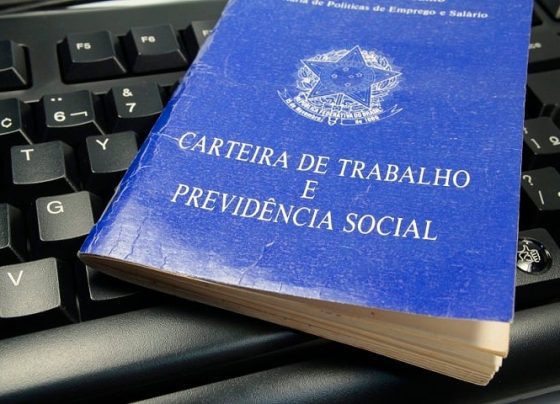 ibge, desemprego, carteira de trabalho