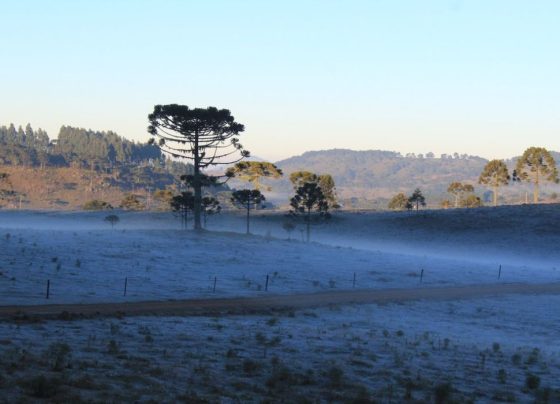 geadas - prefeitura de urupema