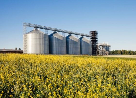 Desembolso do crédito rural no Plano Safra 2023/24 atinge R$ 347,2 bi em 10 meses