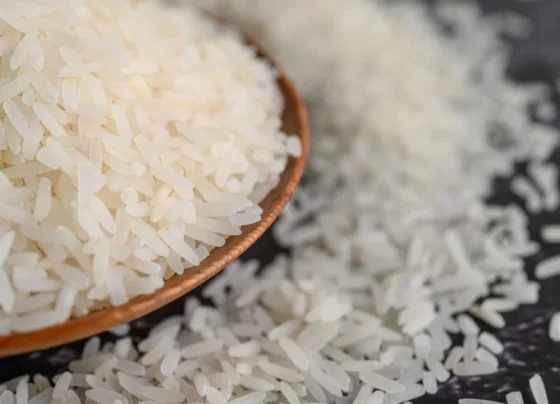 arroz
