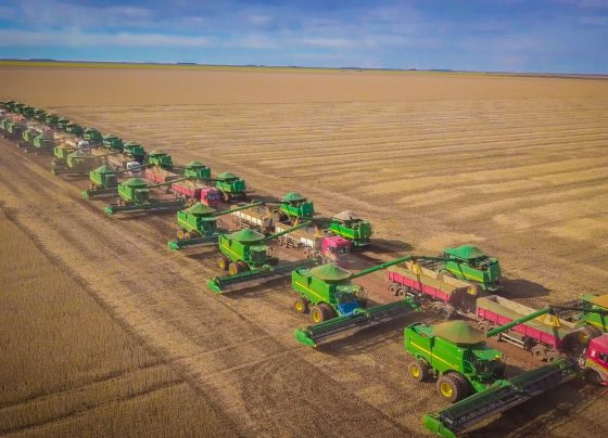 empresa, SLC Agrícola, fazenda, terras