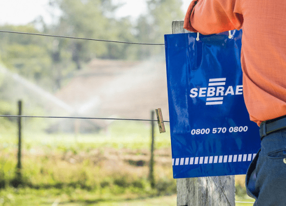 Homem segurando uma sacola do Sebrae e está olhando para o campo