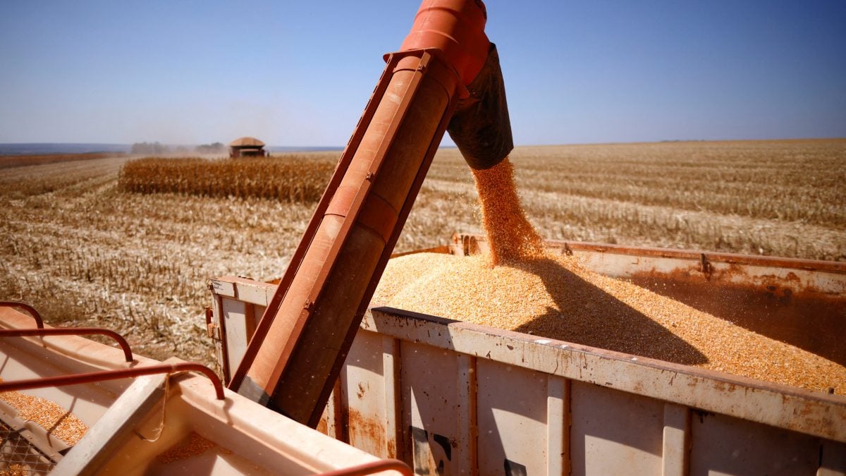 Argentina Reduz Impostos sobre Exportações de Grãos e Alimentos