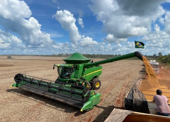 Fazenda Brasnorte - Colheita de soja