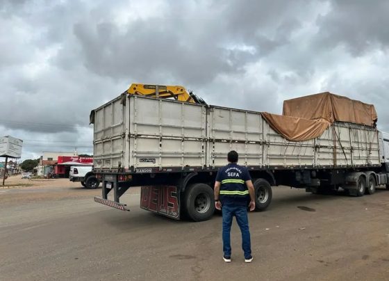 Carga apreendida cabeças de gado Pará