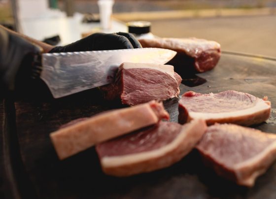 Foto: Reprodução Assessoria Imac