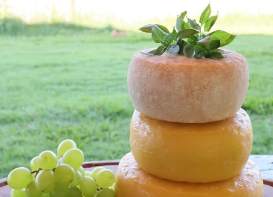 Na foto, há três peças de queijos maturados, ao lado esquerdo da foto, há uvas e no topo dos queijos folhas verdes