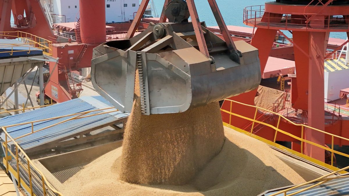 China Amplia Compra de Farelo de Soja da Argentina