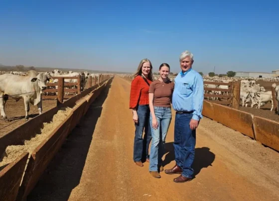 Confiança de produtores rurais dos EUA cai em julho