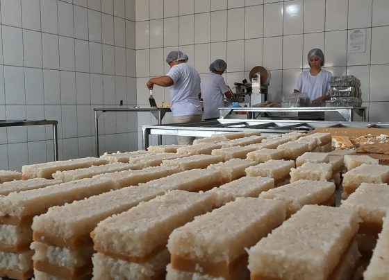 Senar transforma agroindustria ateg doce de leite cocada sinop foto israel baumann canal rural mato grosso3