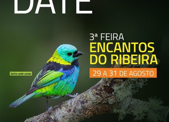 Uma arte com um pássaro na capa.