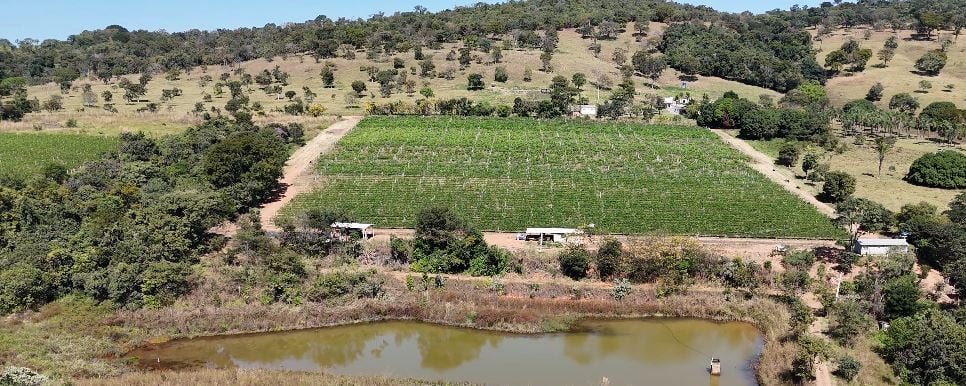 O que você considera mais desafiador para investir no agroturismo?