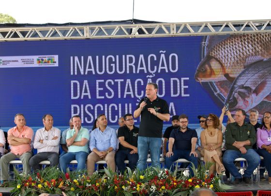 Produção de peixes e hortaliças ganha reforço em Nossa Senhora do Livramento Foto Caroline De Vita Mapa