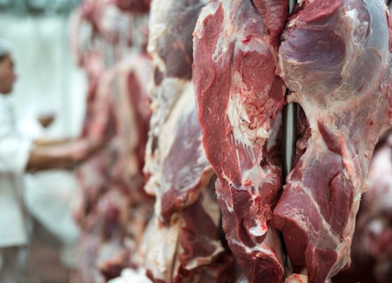 carne bovina