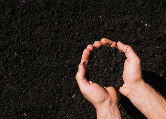 importação de fertilizantes - boletim agroexport - gasto