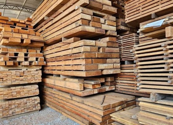 Foto: Reprodução/ Sistema Fiemt