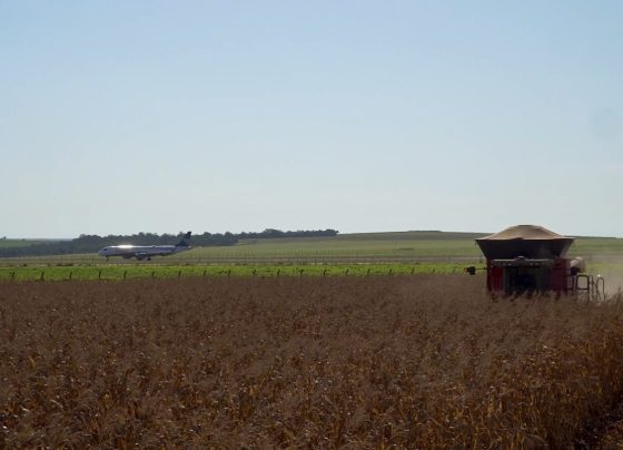Etanol de milho e SAF o futuro da avia&ccedil;&atilde;o limpa nasce em Mato Grosso Foto Leandro Balbino Canal Rural Mato Grosso