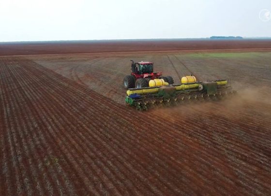 plantio soja patrulheiro agro foto pedro silvestre canal rural mato grosso 3