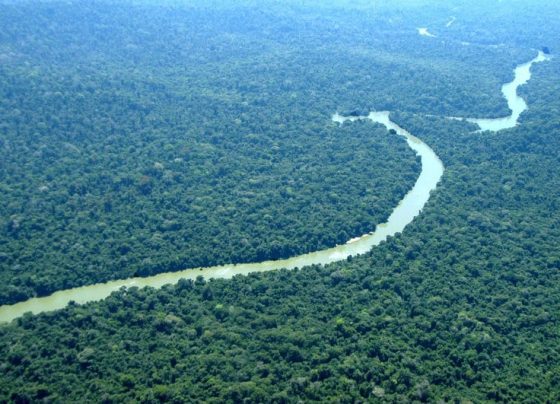 Amazônia e Mata Atlântica