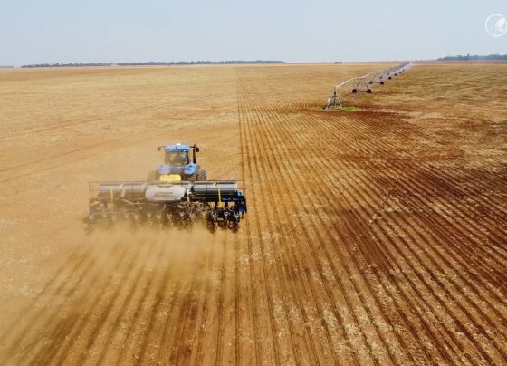 plantio de soja irrigaca&ccedil;&atilde;o foto pedro silvestre canal rural mato grosso1